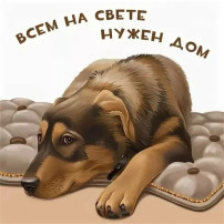 "Всем на свете нужен дом!" "Всем на свете нужен дом!".
