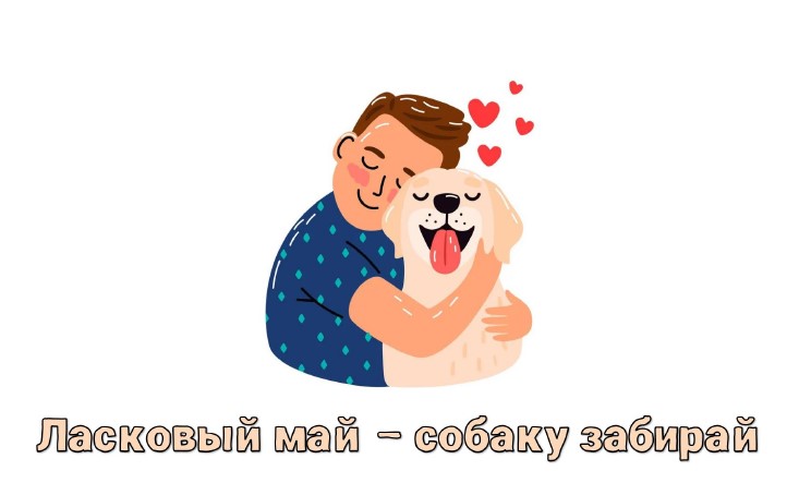 Акция "Ласковый май-собаку забирай" Акция "Ласковый май-собаку забирай".